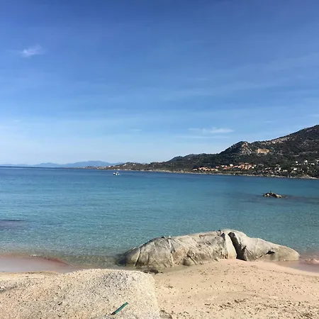 Cocody 49 Lumio (Corsica)