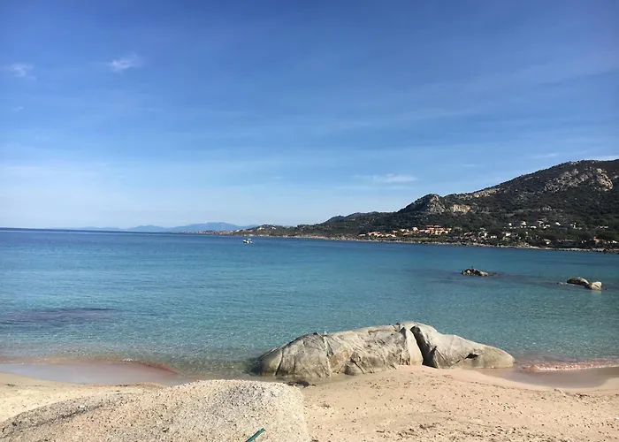 Cocody 49 Lumio (Corsica)